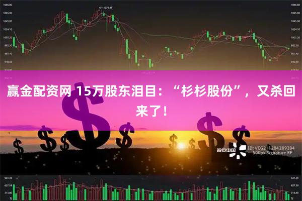 赢金配资网 15万股东泪目：“杉杉股份”，又杀回来了！