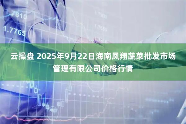 云操盘 2025年9月22日海南凤翔蔬菜批发市场管理有限公司价格行情