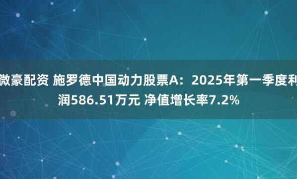 微豪配资 施罗德中国动力股票A：2025年第一季度利润586.51万元 净值增长率7.2%