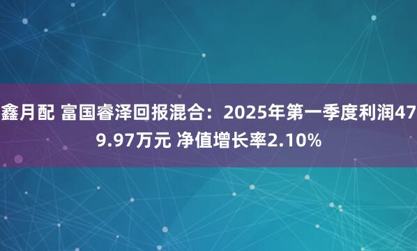 鑫月配 富国睿泽回报混合：2025年第一季度利润479.97万元 净值增长率2.10%