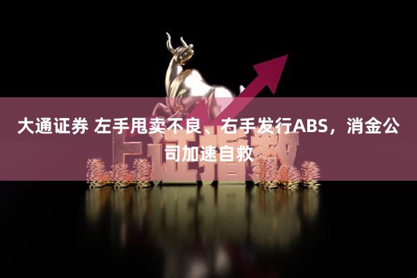 大通证券 左手甩卖不良、右手发行ABS，消金公司加速自救