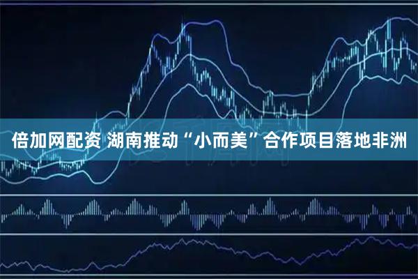 倍加网配资 湖南推动“小而美”合作项目落地非洲