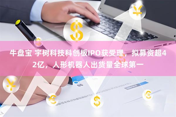牛盘宝 宇树科技科创板IPO获受理，拟募资超42亿，人形机器人出货量全球第一